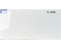 Gạch Viglacera 40x80 TL4809
